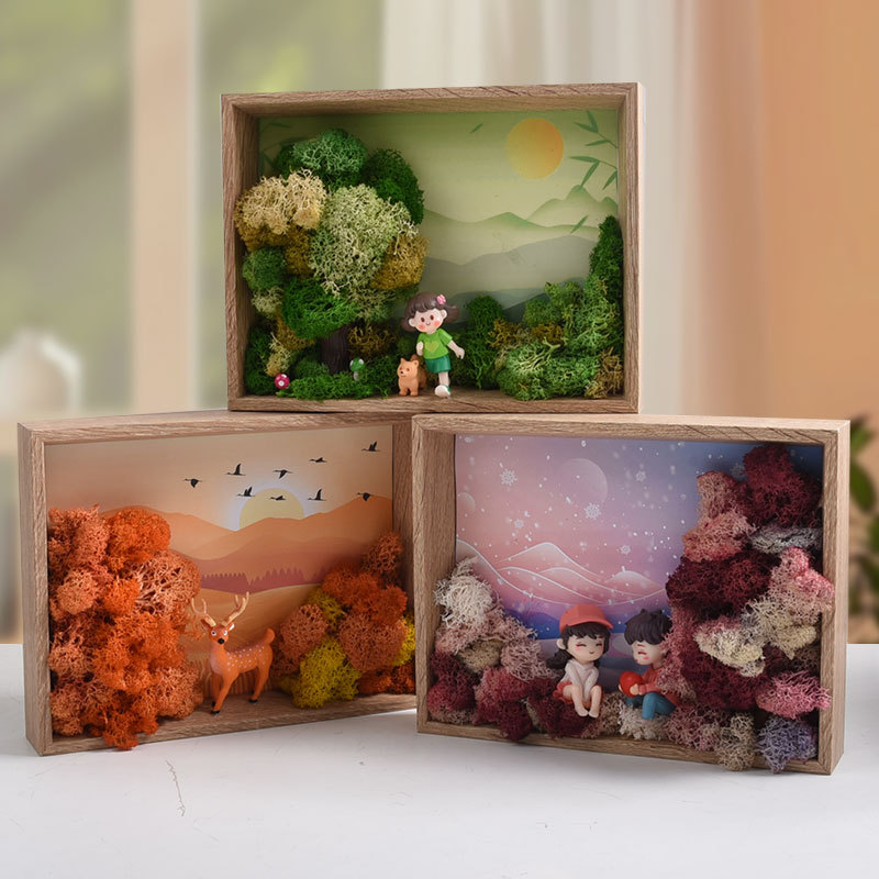 Seaweed Art DIY Kit - 3D Frame - Plant Parent Gift Set 评论和价格
