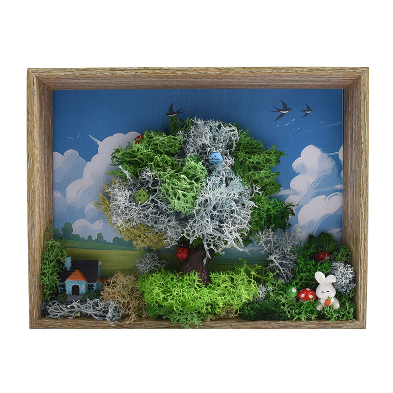 Seaweed Art DIY Kit - 3D Frame - Plant Parent Gift Set 评论和价格