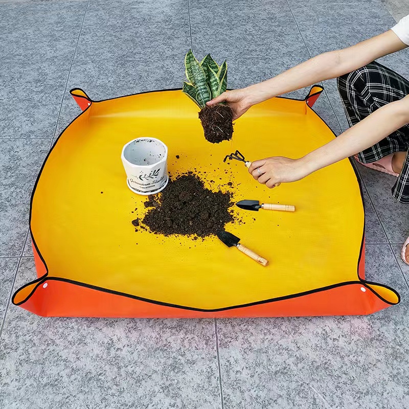 Thickened Waterproof Mats Gard - Snake Plant Ceramic 评论和价格
